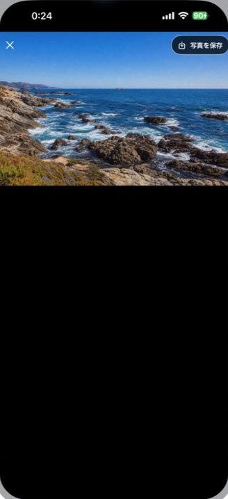 Libria Connect photo preview with an option to save the photo