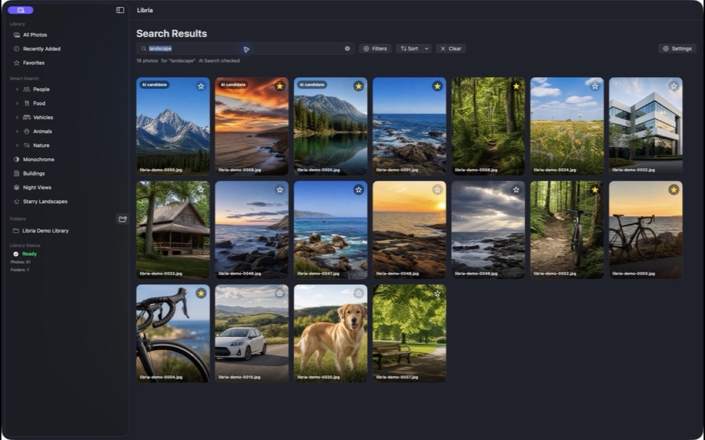 Photos returned by on-device AI search